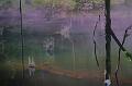 T-20171117-114538_IMG_0729-7