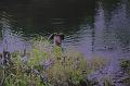 T-20171117-114542_IMG_0731-7