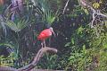 T-20171117-114554_IMG_0739-7