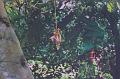 T-20171117-114740_IMG_0756-7