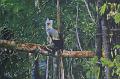 T-20171117-120453_IMG_0779-7