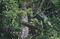 T-20171117-120503_IMG_0781-7