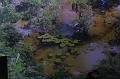 T-20171117-123414_IMG_0864-7