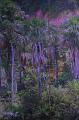 T-20171117-123437_IMG_0882-7