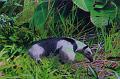T-20171117-123628_IMG_0888-7a
