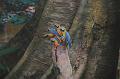 T-20171117-125919_IMG_0899-7
