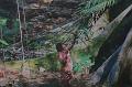 T-20171117-125927_IMG_0900-7