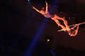 T-20171231-172743_IMG_1881-7