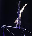 T-20171231-190128_IMG_4015-7a