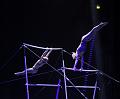 T-20171231-190129_IMG_4025-7a
