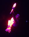 T-20171231-191253_IMG_4369-7a