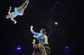T-20180106-215330_IMG_7519-gx0