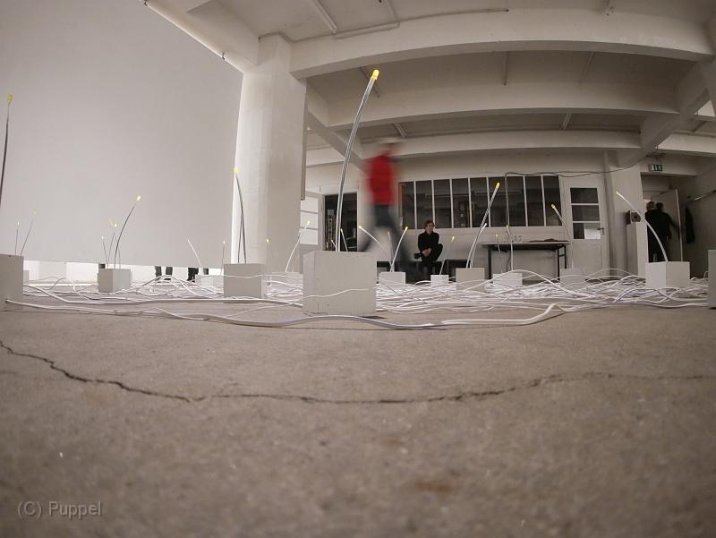 P7080148.JPG