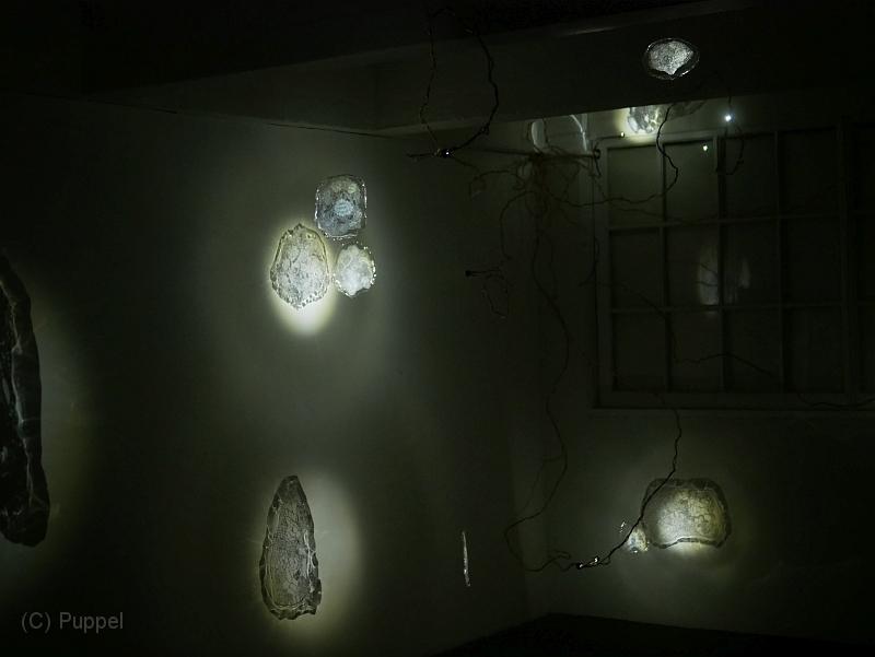 P7080243.JPG