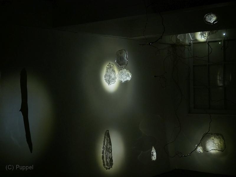 P7080247.JPG