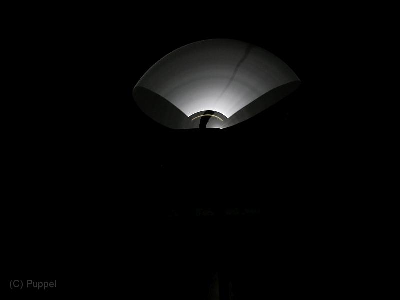 P7080541.JPG