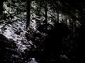 P7080906-P7080873