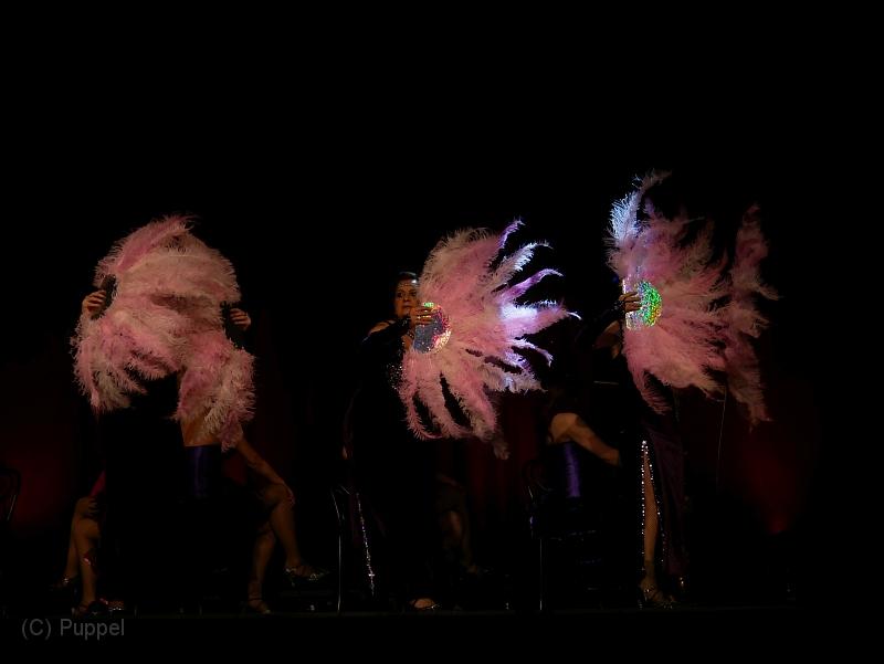 T-20180303-195239_P7580073.JPG