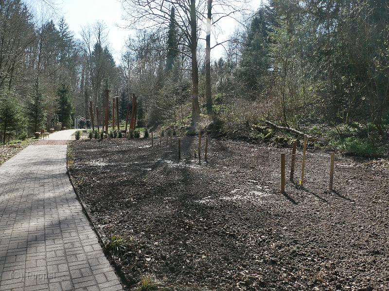 P1520393.JPG