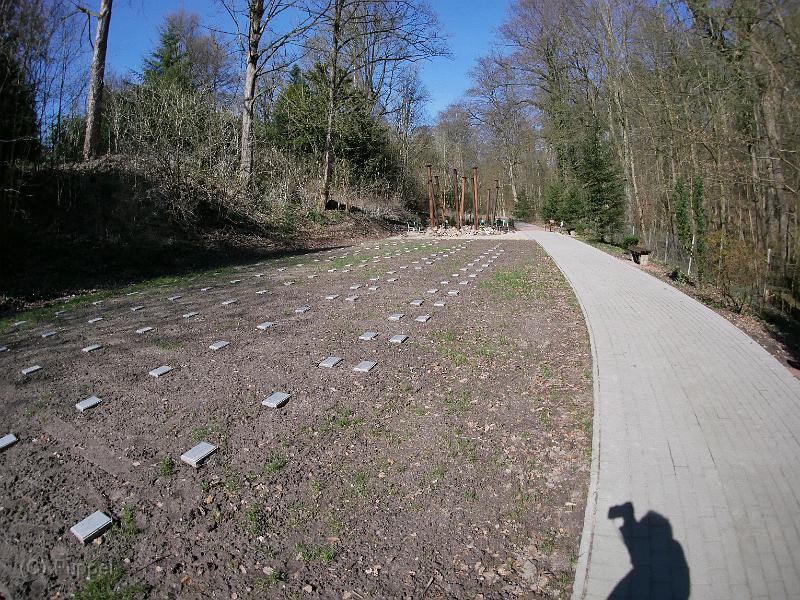 P1520418.JPG