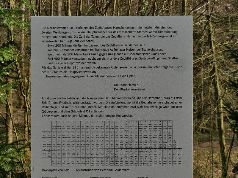 P1520445.JPG