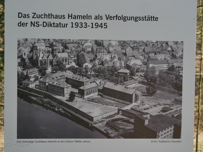 P1520469.JPG