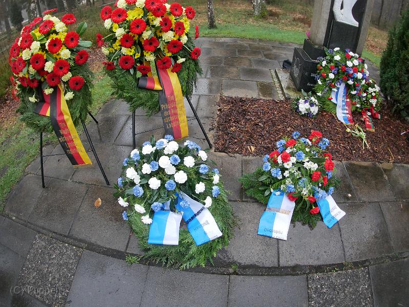P1620122.JPG