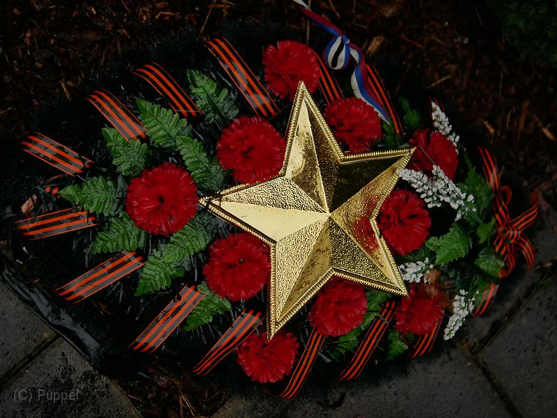 P1630219.JPG