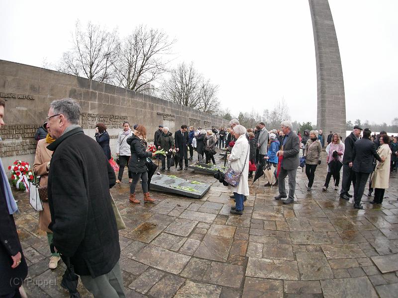 P1650016.JPG