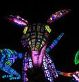 T-20180422-185842_IMG_9525-70a