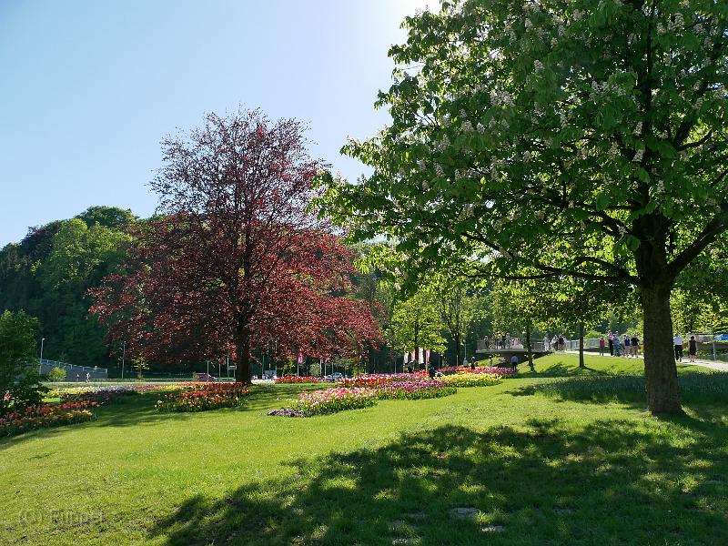 P1980518.JPG