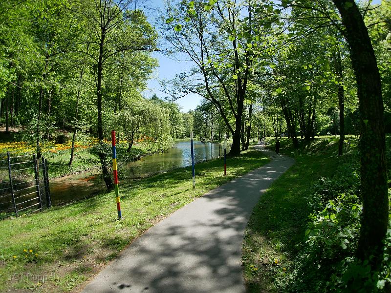 P1960712.JPG