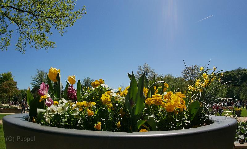 P1970025a.jpg