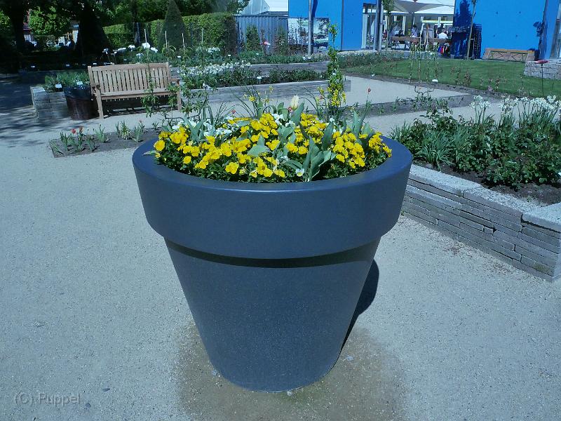 P1980138a.jpg