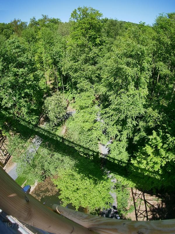 P1970172a.jpg