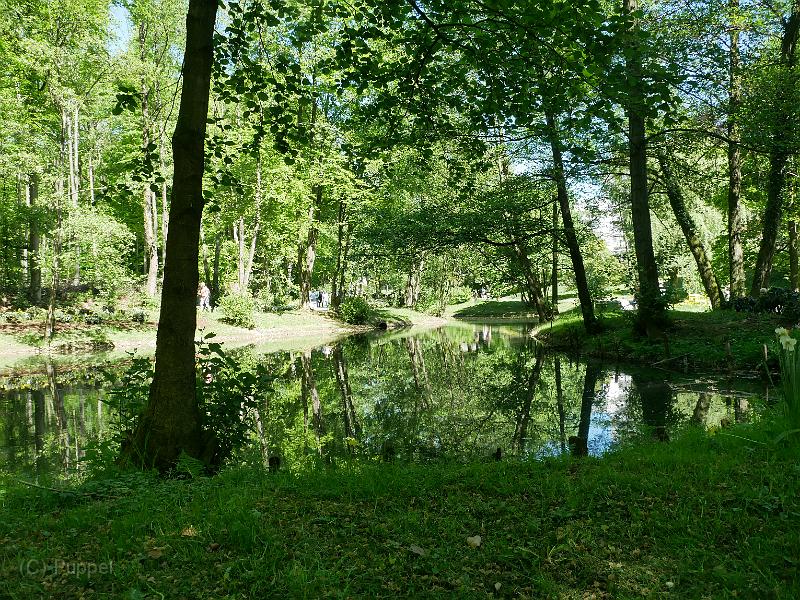 P1970350.JPG