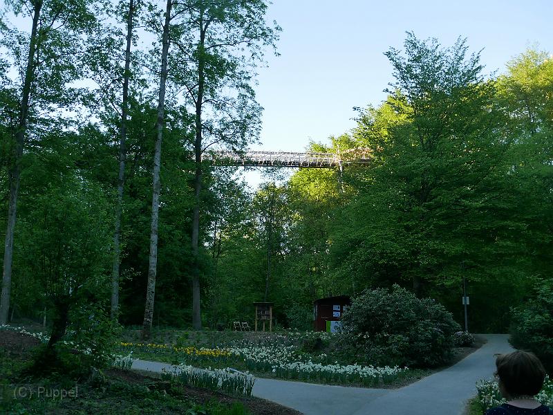 P1990221.JPG