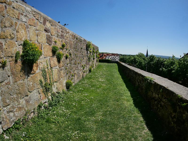 P1990861.JPG