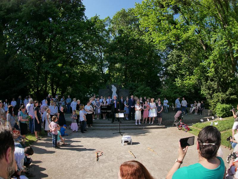 P7750594.JPG
