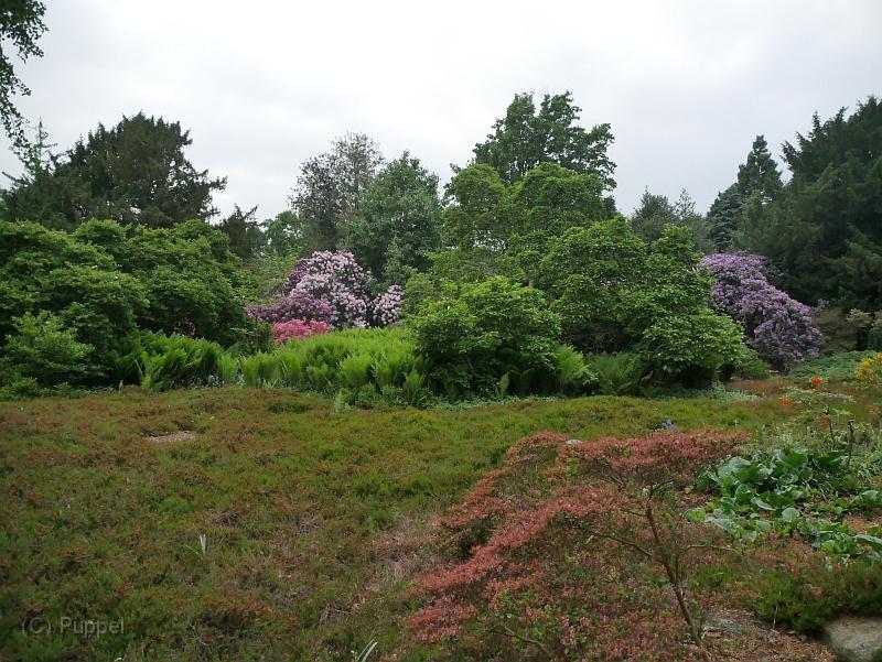 P2150498.JPG