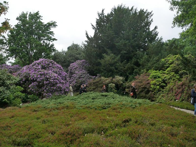 P2150505.JPG