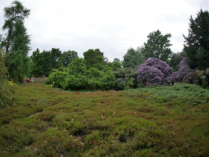 P2150545.JPG