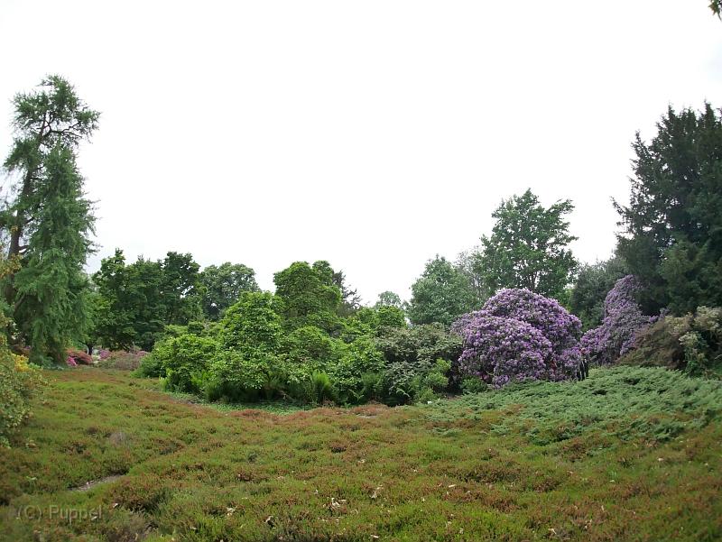 P2150554.JPG