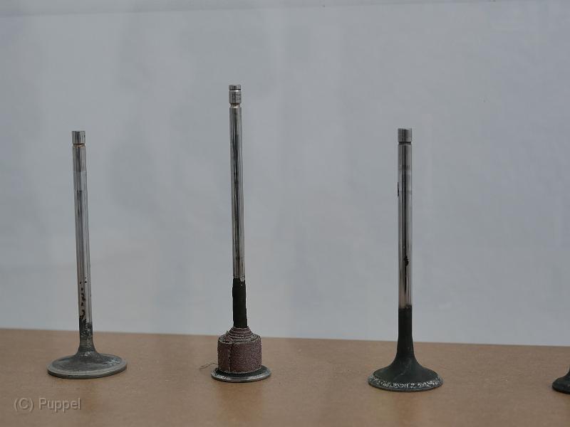 P2290141.JPG
