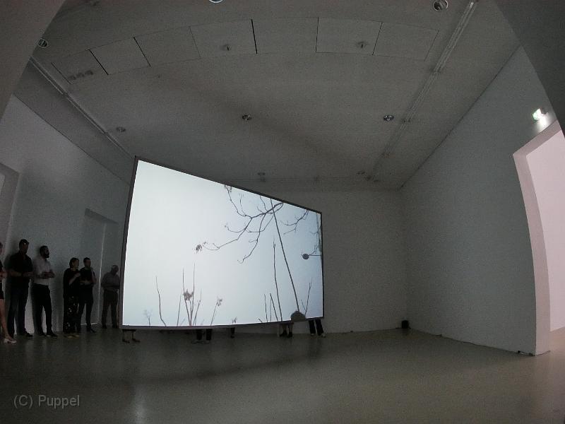 P2290304.JPG