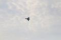 T-20180609-105028_IMG_6430-7
