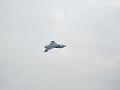 T-20180609-105203_P2600374-GX1