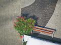 T-20180611-172518_P2650676-GX1a