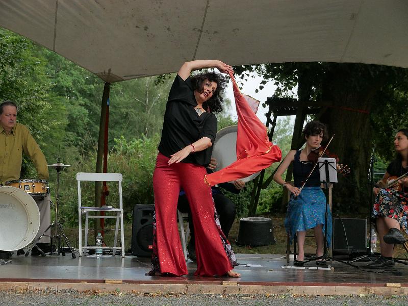 P2730794.JPG