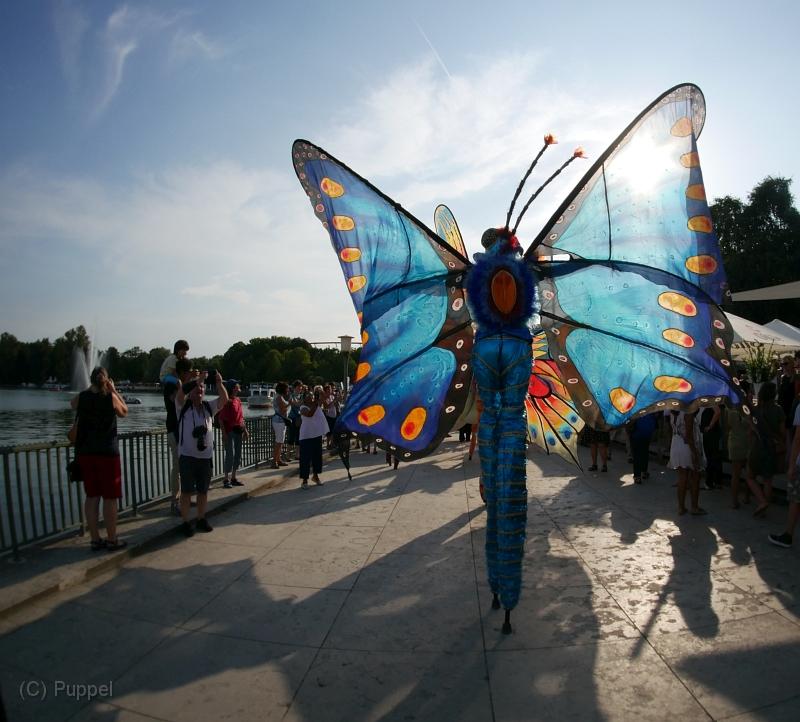 T-20180801-181758_P4180181-gx1a.jpg